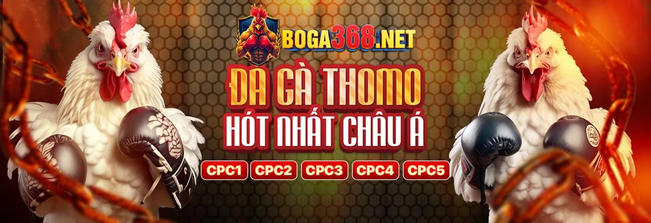Chương Trình Đối Tác tdtc